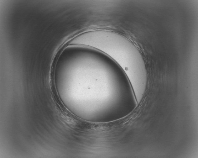 X0000072490340200607140916