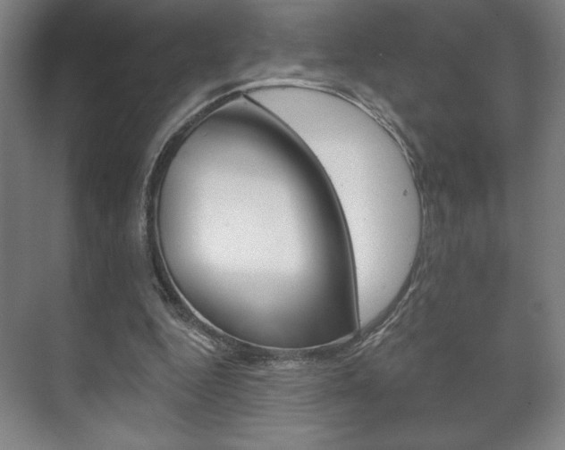 X0000072490344200607140916