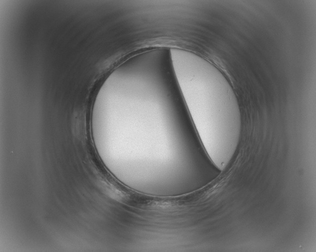 X0000072490349200607140916