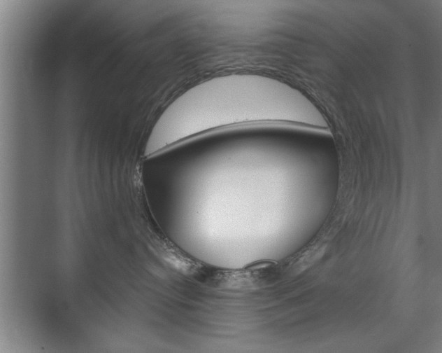 X0000072490384200607140917