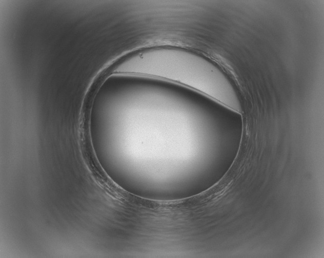 X0000072490388200607140916