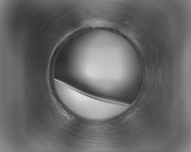 X0000072490391200607140916
