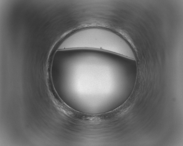 X0000072490395200607140916