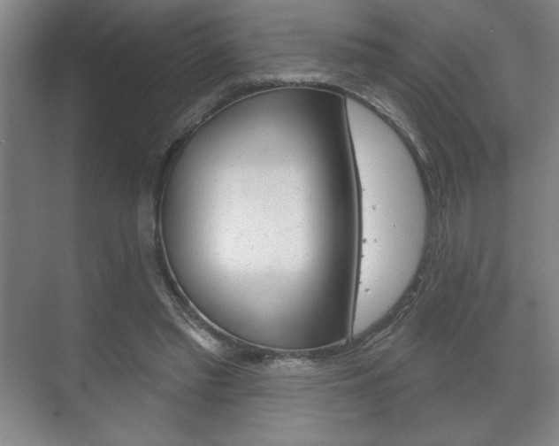 X0000072490397200607140916