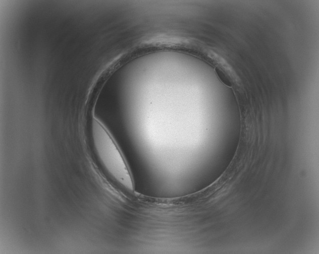 X0000072490399200607140916