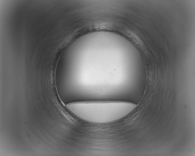 X0000072490401200607140916