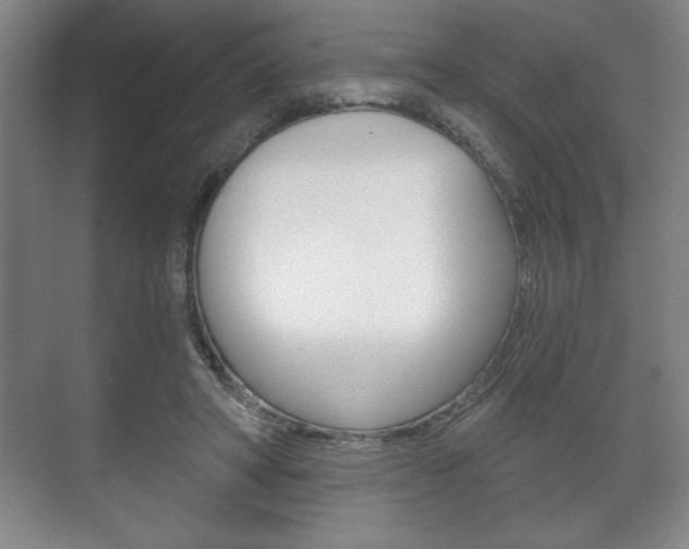 X0000072490402200607140916