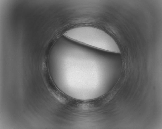 X0000072490408200607140915