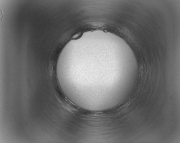 X0000072490412200607140915