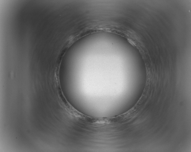 X0000072490415200607140915