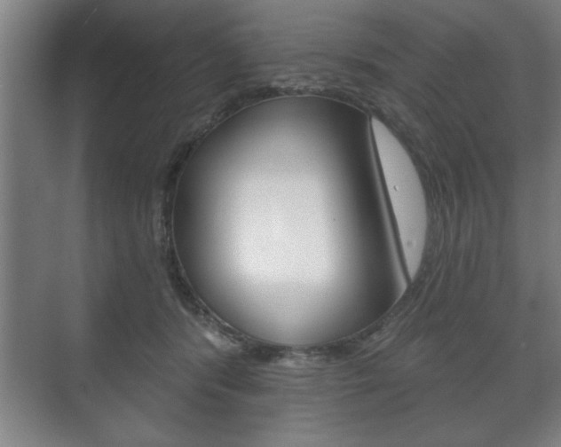 X0000072490416200607140915