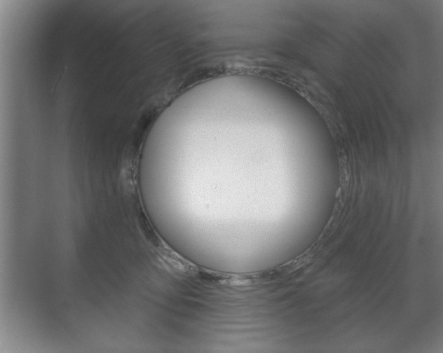 X0000072490419200607140915