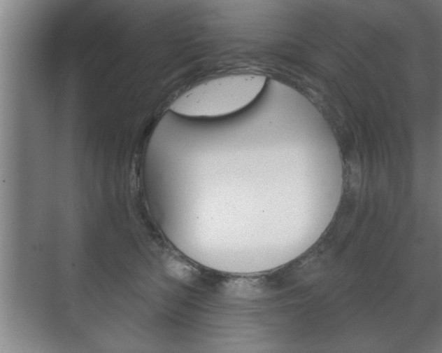 X0000072490422200607140915