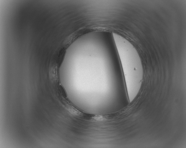 X0000072490425200607140915