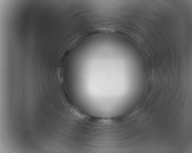 X0000072490428200607140915