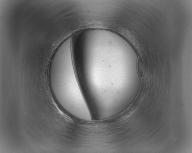 X0000072490433200607140914