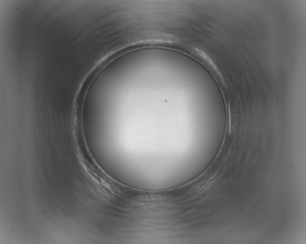 X0000072490435200607140914