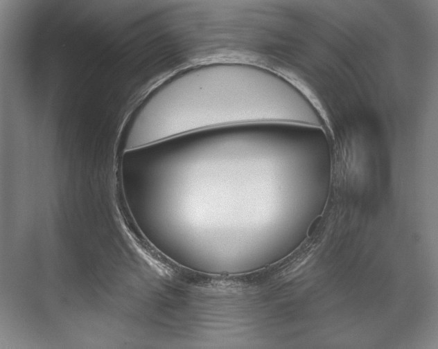 X0000072490437200607140914