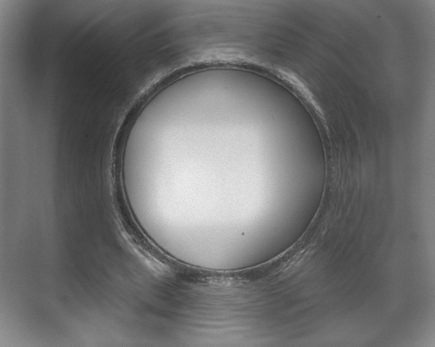 X0000072490439200607140914