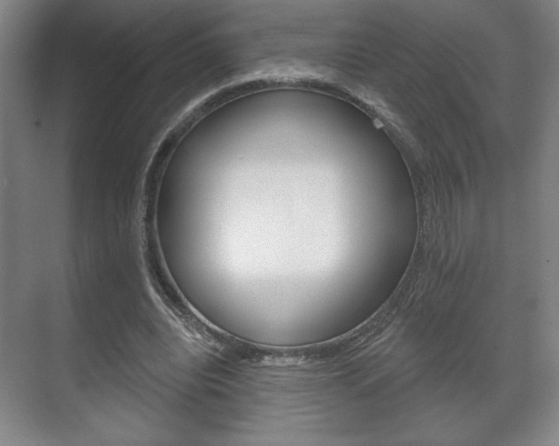 X0000072490440200607140914