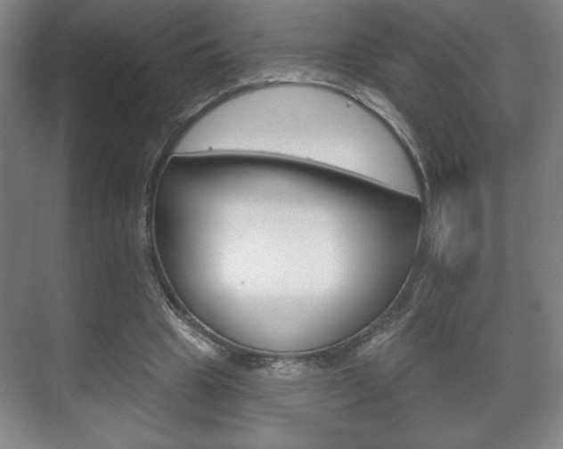 X0000072490441200607140914
