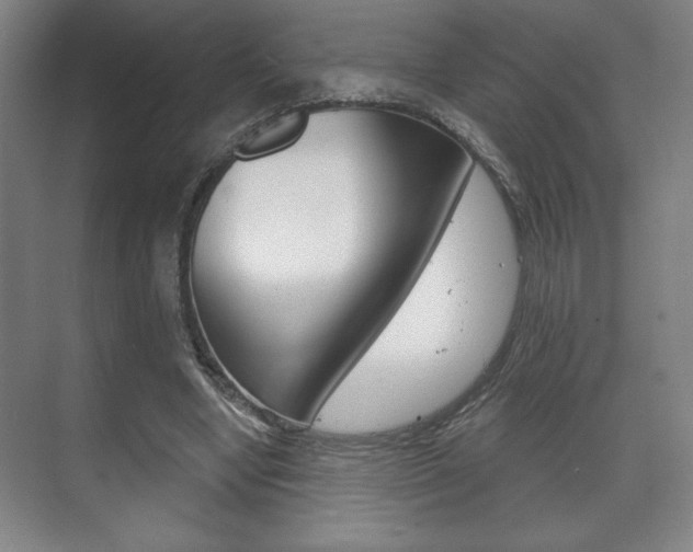 X0000072490442200607140914