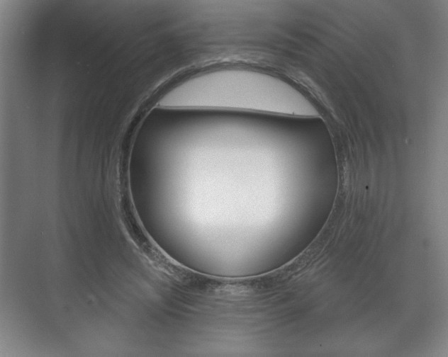 X0000072490444200607140914