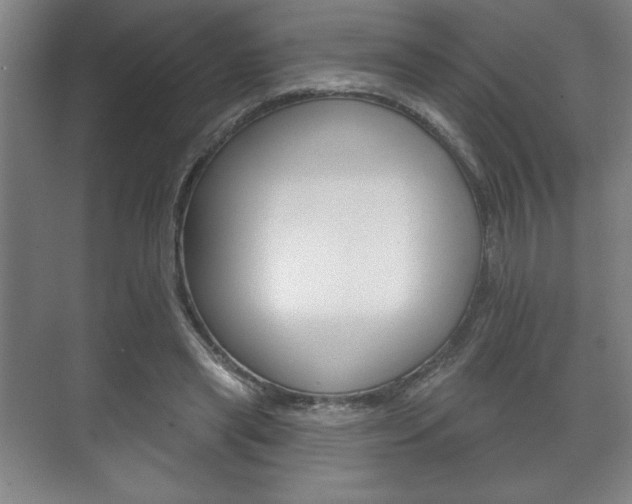 X0000072490445200607140914