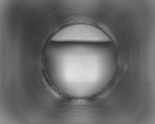 X0000072490449200607140915