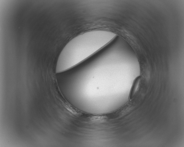 X0000072490465200607140915