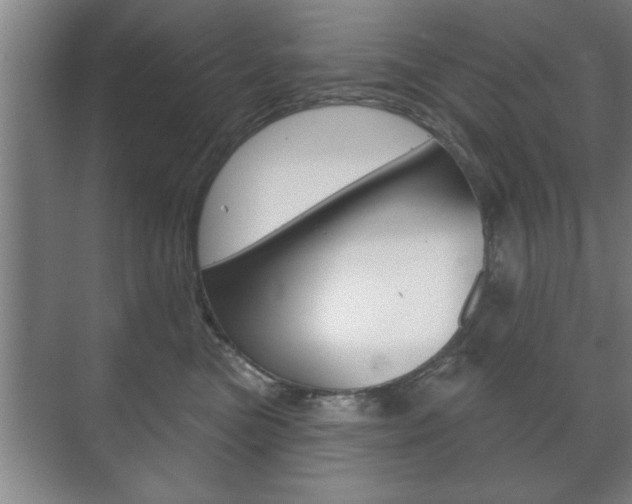 X0000072490473200607140915