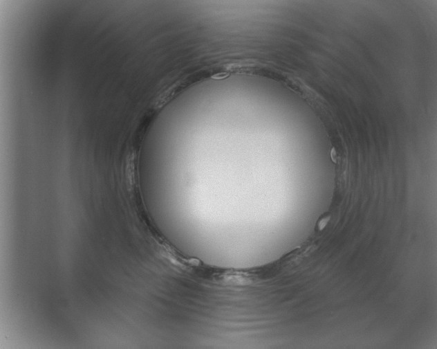 X0000072490475200607140915