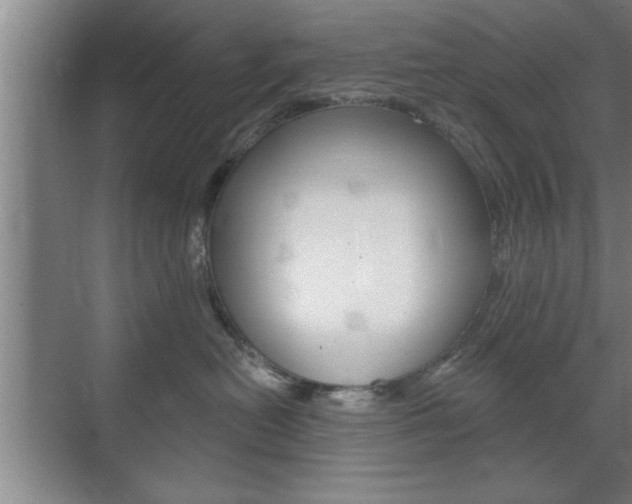 X0000072490478200607140915