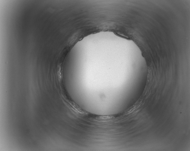 X0000072490479200607140915