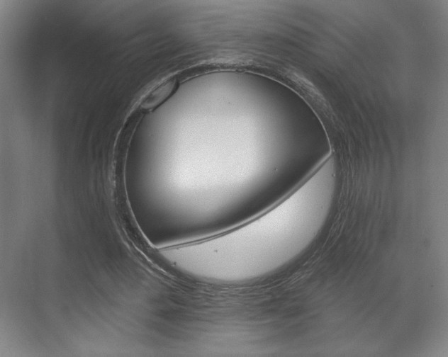 X0000072490484200607140914
