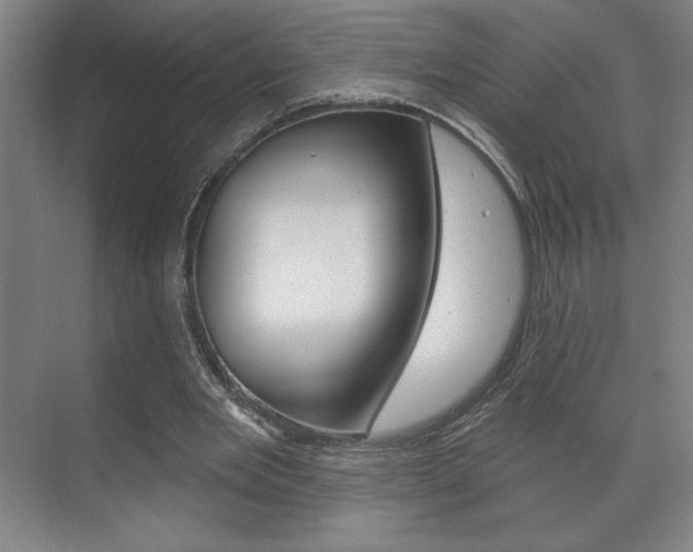 X0000072490485200607140914