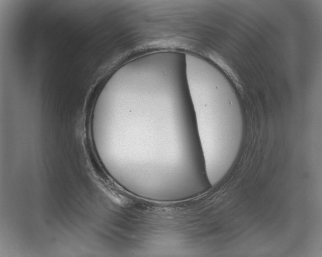 X0000072490486200607140914