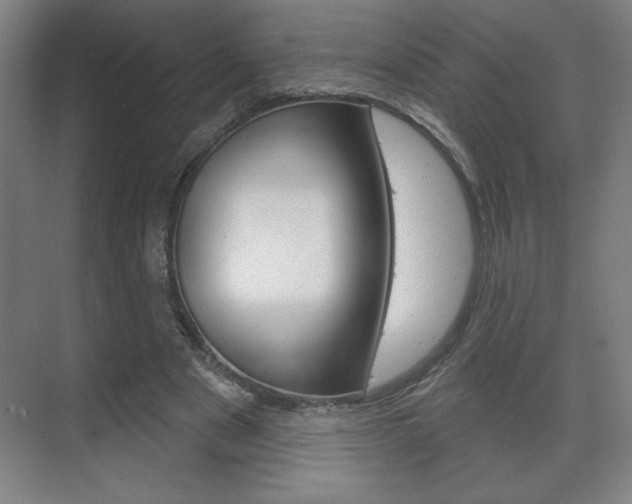 X0000072490489200607140914
