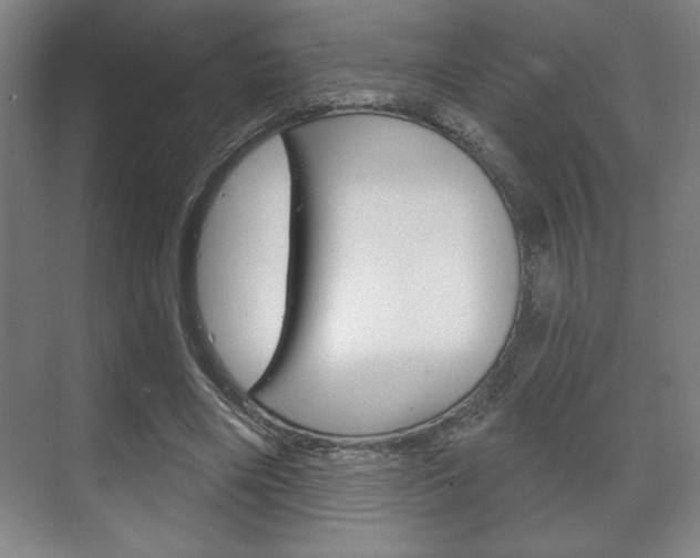 X0000072490490200607140914