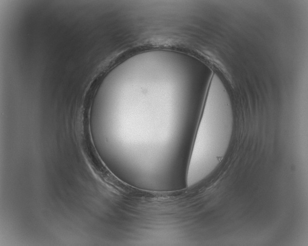 X0000072490492200607140914