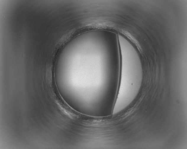 X0000072490493200607140914