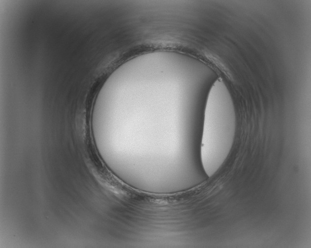 X0000072490494200607140914