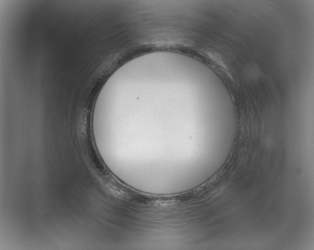 X0000072490495200607140914
