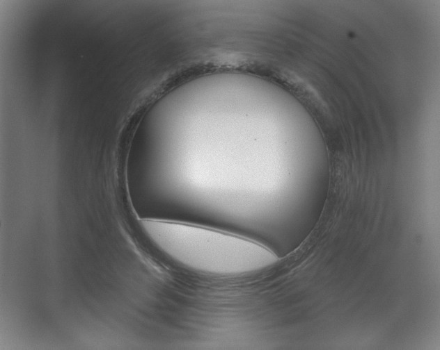 X0000072490496200607140914