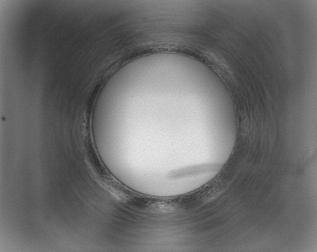 X0000072490498200607140914