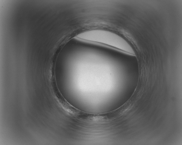 X0000072490501200607140914