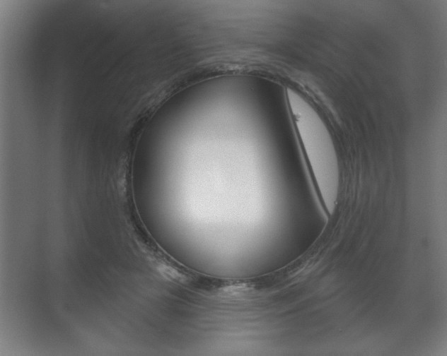 X0000072490505200607140914