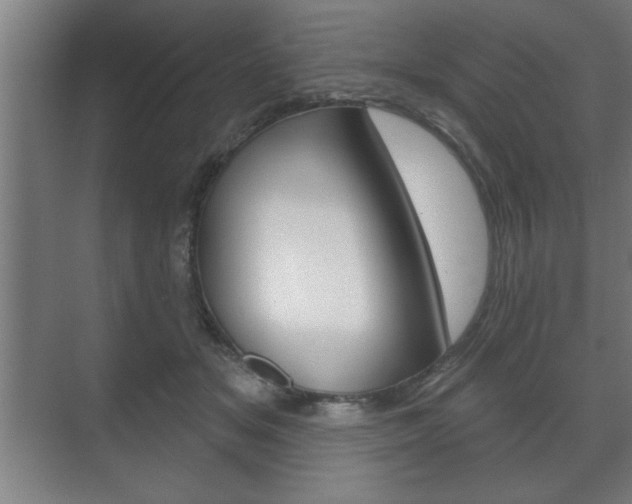 X0000072490509200607140914