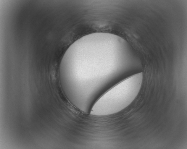 X0000072490515200607140914