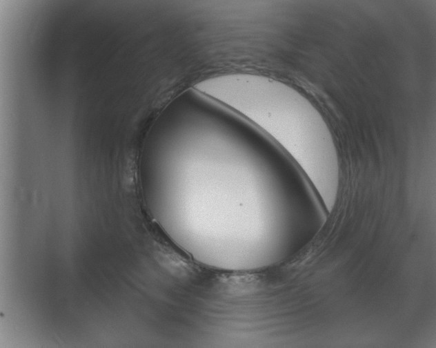 X0000072490517200607140914